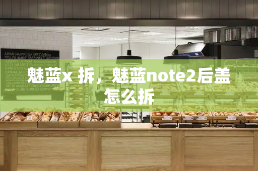 魅蓝x 拆，魅蓝note2后盖怎么拆-第1张图片-星选测评