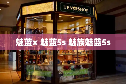 魅蓝x 魅蓝5s 魅族魅蓝5s-第1张图片-星选测评
