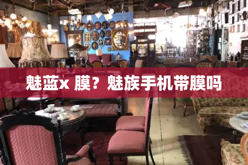 魅蓝x 膜？魅族手机带膜吗-第1张图片-星选测评