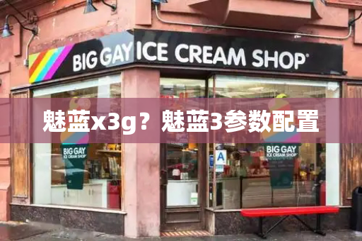 魅蓝x3g？魅蓝3参数配置-第1张图片-星选测评