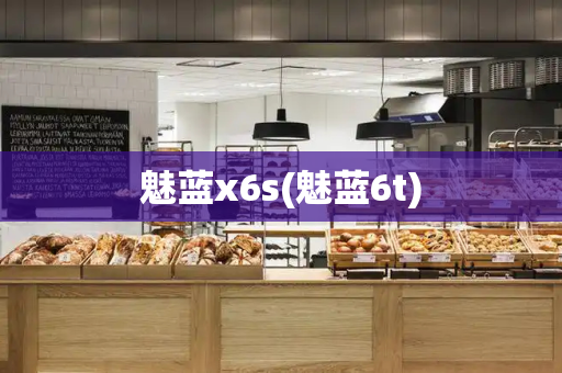 魅蓝x6s(魅蓝6t)