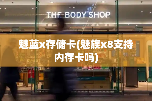 魅蓝x存储卡(魅族x8支持内存卡吗)-第1张图片-星选测评