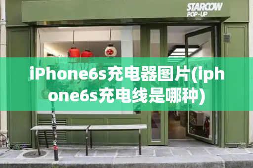 iPhone6s充电器图片(iphone6s充电线是哪种)-第1张图片-星选测评