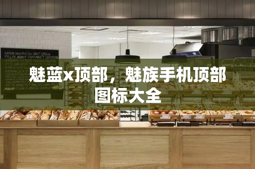 魅蓝x顶部，魅族手机顶部图标大全