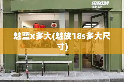 魅蓝x多大(魅族18s多大尺寸)