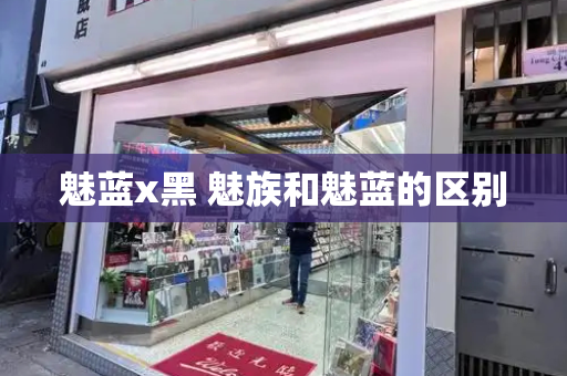 魅蓝x黑 魅族和魅蓝的区别-第1张图片-星选测评