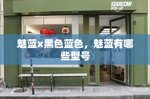 魅蓝x黑色蓝色，魅蓝有哪些型号-第1张图片-星选测评