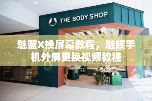 魅蓝X换屏幕教程，魅族手机外屏更换视频教程