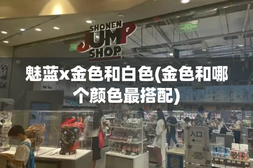 魅蓝x金色和白色(金色和哪个颜色最搭配)