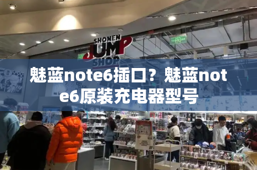 魅蓝note6插口？魅蓝note6原装充电器型号