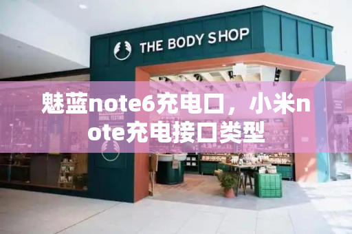 魅蓝note6充电口，小米note充电接口类型-第1张图片-星选测评