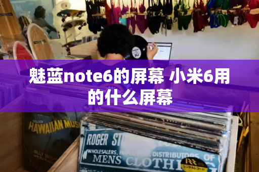 魅蓝note6的屏幕 小米6用的什么屏幕