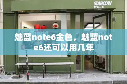 魅蓝note6金色，魅蓝note6还可以用几年