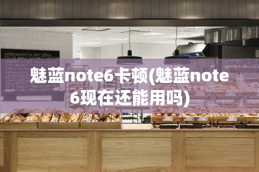 魅蓝note6卡顿(魅蓝note6现在还能用吗)-第1张图片-星选测评