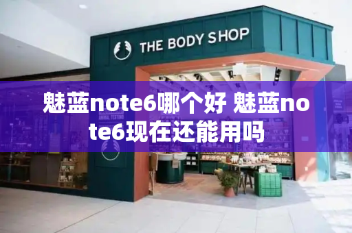 魅蓝note6哪个好 魅蓝note6现在还能用吗-第1张图片-星选测评
