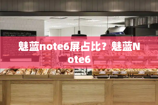 魅蓝note6屏占比？魅蓝Note6