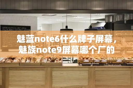 魅蓝note6什么牌子屏幕，魅族note9屏幕哪个厂的-第1张图片-星选测评