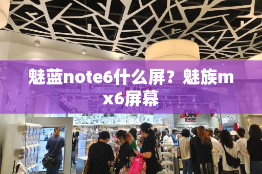 魅蓝note6什么屏？魅族mx6屏幕