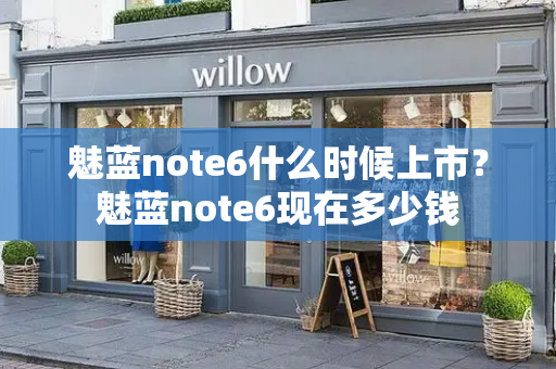 魅蓝note6什么时候上市？魅蓝note6现在多少钱-第1张图片-星选测评