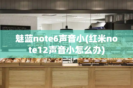 魅蓝note6声音小(红米note12声音小怎么办)