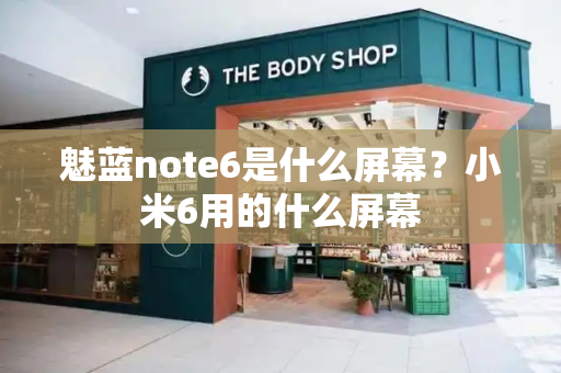 魅蓝note6是什么屏幕？小米6用的什么屏幕