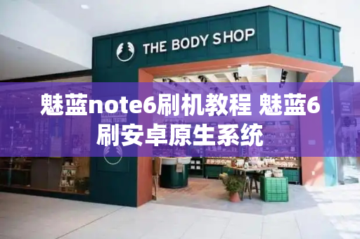 魅蓝note6刷机教程 魅蓝6刷安卓原生系统-第1张图片-星选测评