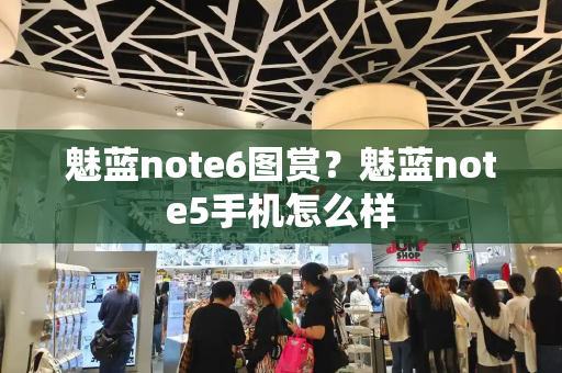 魅蓝note6图赏？魅蓝note5手机怎么样-第1张图片-星选测评