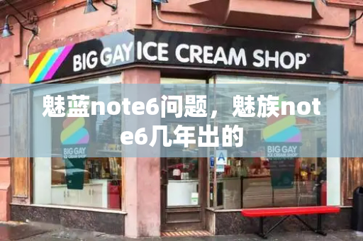 魅蓝note6问题，魅族note6几年出的