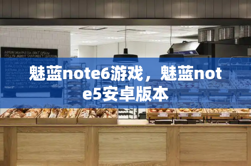 魅蓝note6游戏，魅蓝note5安卓版本