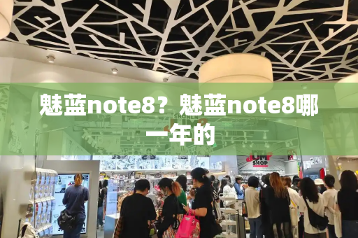 魅蓝note8？魅蓝note8哪一年的-第1张图片-星选测评
