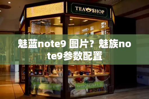 魅蓝note9 图片？魅族note9参数配置