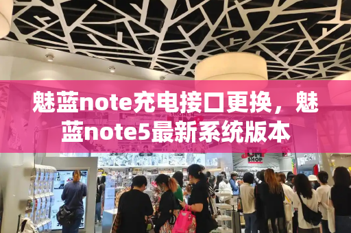 魅蓝note充电接口更换，魅蓝note5最新系统版本