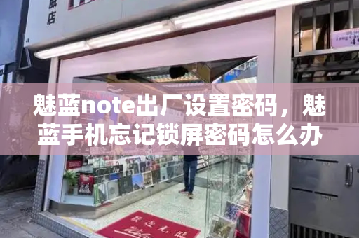 魅蓝note出厂设置密码，魅蓝手机忘记锁屏密码怎么办-第1张图片-星选测评