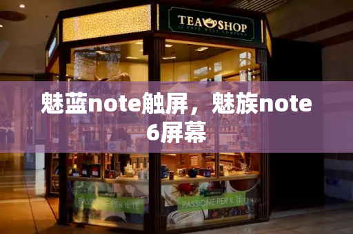 魅蓝note触屏，魅族note6屏幕-第1张图片-星选测评