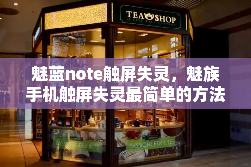 魅蓝note触屏失灵，魅族手机触屏失灵最简单的方法-第1张图片-星选测评