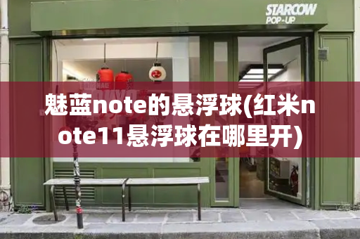 魅蓝note的悬浮球(红米note11悬浮球在哪里开)-第1张图片-星选测评