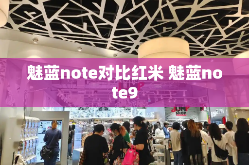 魅蓝note对比红米 魅蓝note9-第1张图片-星选测评