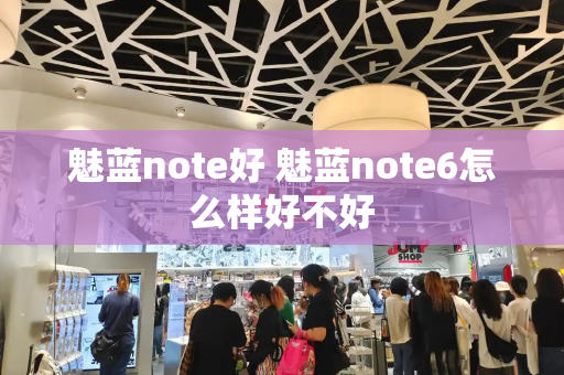 魅蓝note好 魅蓝note6怎么样好不好-第1张图片-星选测评