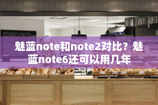 魅蓝note和note2对比？魅蓝note6还可以用几年