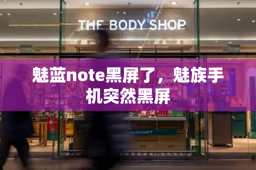 魅蓝note黑屏了，魅族手机突然黑屏-第1张图片-星选测评