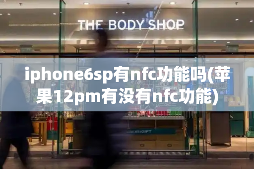 iphone6sp有nfc功能吗(苹果12pm有没有nfc功能)
