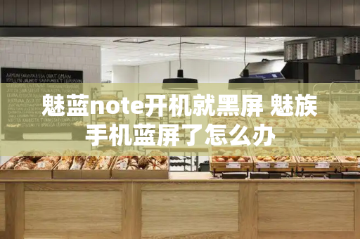 魅蓝note开机就黑屏 魅族手机蓝屏了怎么办