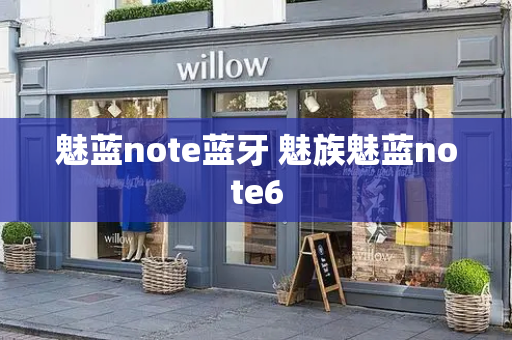 魅蓝note蓝牙 魅族魅蓝note6-第1张图片-星选测评