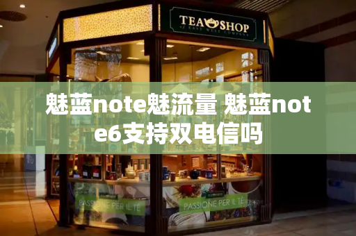 魅蓝note魅流量 魅蓝note6支持双电信吗