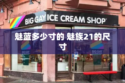 魅蓝多少寸的 魅族21的尺寸-第1张图片-星选测评