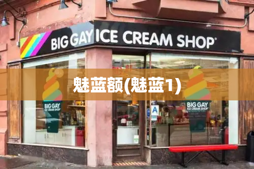 魅蓝额(魅蓝1)-第1张图片-星选测评