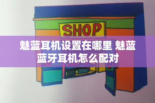 魅蓝耳机设置在哪里 魅蓝蓝牙耳机怎么配对-第1张图片-星选测评