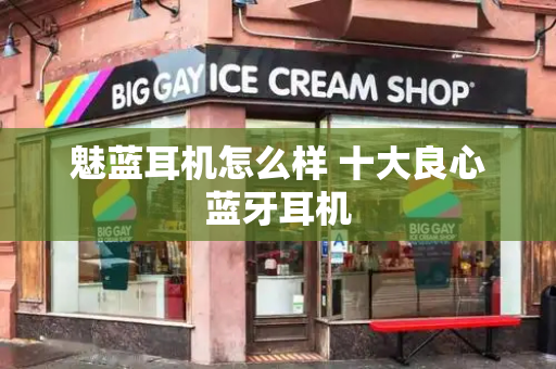 魅蓝耳机怎么样 十大良心蓝牙耳机