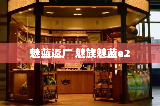 魅蓝返厂 魅族魅蓝e2-第1张图片-星选测评