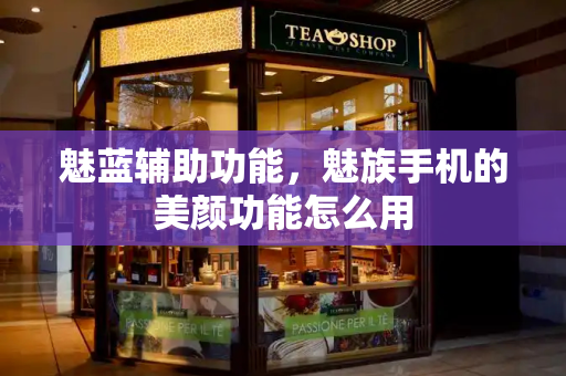 魅蓝辅助功能，魅族手机的美颜功能怎么用-第1张图片-星选测评
